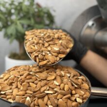 مغز بادام درختی ایرانی موکا